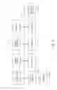 Fig. 12 - Device including authentication glyph