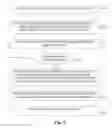 Fig. 07 - System and method for parallel searching of a document stream
