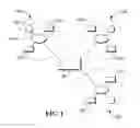Fig. 02 - Peer to peer diagnostic tool