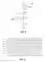 Fig. 05 - Coefficient boost multiply accumulate unit
