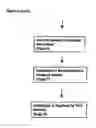 Fig. 08 - E-Mail Proxy