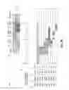 Fig. 09 - Optimizing content management