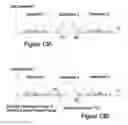 Fig. 15 - Data management in flash memory using probability of charge disturbances