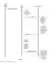 Fig. 08 - Annotation framework for video