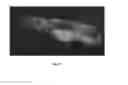 Fig. 12 - Chimeric gene constructs for generation of fluorescent transgenic ornamental fish