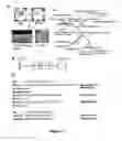 Fig. 02 - PLANT NUCLEIC ACIDS ASSOCIATED WITH CELLULAR pH AND USES THEREOF