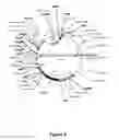 Fig. 07 - PLANT NUCLEIC ACIDS ASSOCIATED WITH CELLULAR pH AND USES THEREOF