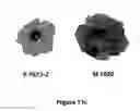 Fig. 22 - PLANT NUCLEIC ACIDS ASSOCIATED WITH CELLULAR pH AND USES THEREOF