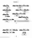Fig. 06 - Temporal regulation of gene expression by MicroRNAs