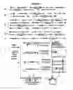 Fig. 07 - Temporal regulation of gene expression by MicroRNAs