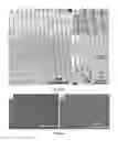 Fig. 06 - Silicon pen nanolithography