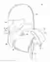 Fig. 01 - PROTECTIVE BODY ARMOR