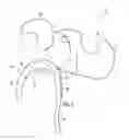 Fig. 04 - PROTECTIVE BODY ARMOR