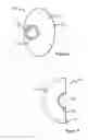 Fig. 07 - Drain valve core
