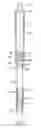 Fig. 24 - Mop cleaning set