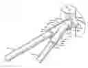 Fig. 01 - Shower rod mounting bracket