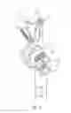 Fig. 03 - Cable control set for extended reach garden shears