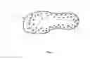 Fig. 02 - Autonomous balance-enhanced insert for footwear