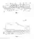 Fig. 02 - Sole and article of footwear
