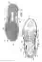Fig. 04 - Unitary upper and midsole