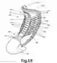 Fig. 22 - Skate boot tongue