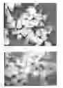 Fig. 01 - Surface etched diamond particles and method for etching the surface of diamond particles