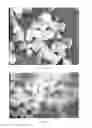Fig. 05 - Surface etched diamond particles and method for etching the surface of diamond particles