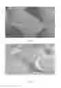 Fig. 06 - Surface etched diamond particles and method for etching the surface of diamond particles