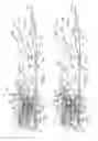 Fig. 02 - Flade discharge in 2-D exhaust nozzle