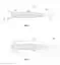 Fig. 03 - THRUST AUGMENTED GAS TURBINE ENGINE