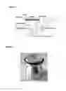Fig. 02 - METHOD AND APPARATUS FOR TESTING TRANSDERMAL MEDICAMENTS