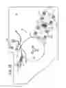 Fig. 14 - Sheet material dispenser