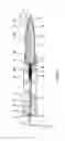 Fig. 04 - Remote setting for electronic systems in a projectile for chambered ammunition