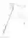 Fig. 02 - Animal leash with sliding ring