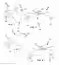 Fig. 02 - ADJUSTABLE FACIAL CONFORMING FACE MASK