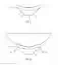 Fig. 06 - Tracheostomy Tube Having a Sealing Device