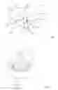 Fig. 02 - TISSUE PROTECTOR