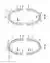 Fig. 06 - Flossing devices and methods of using same