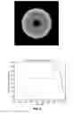 Fig. 14 - METHOD OF ENHANCING IRRADIANCE PROFILE FROM SOLAR CONCENTRATOR