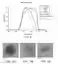 Fig. 10 - SYSTEM AND METHOD FOR GENERATING A BEAM OF PARTICLES