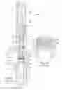Fig. 04 - Pressure relief valve