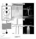 Fig. 04 - Coated microfluidic devices and methods of making
