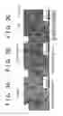 Fig. 04 - Microcrystalline alloy, method for production of the same, apparatus for production of the same, and method for production of casting of the same