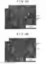 Fig. 06 - Microcrystalline alloy, method for production of the same, apparatus for production of the same, and method for production of casting of the same