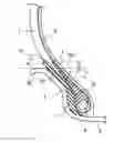 Fig. 01 - Pneumatic radial tire