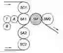 Fig. 01 - Method of assembling two webs of tissue paper with or without marking of said webs