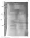 Fig. 05 - Creping adhesive compositions and methods of using those compositions