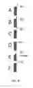 Fig. 10 - Casting apparatus and method
