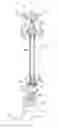 Fig. 01 - Oil pipe suspension device and installation method