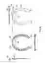 Fig. 05 - Horseshoe with splaying feature and flexibility